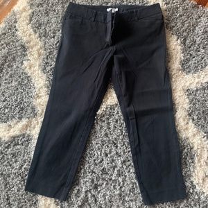 New York and company cropped dress pants